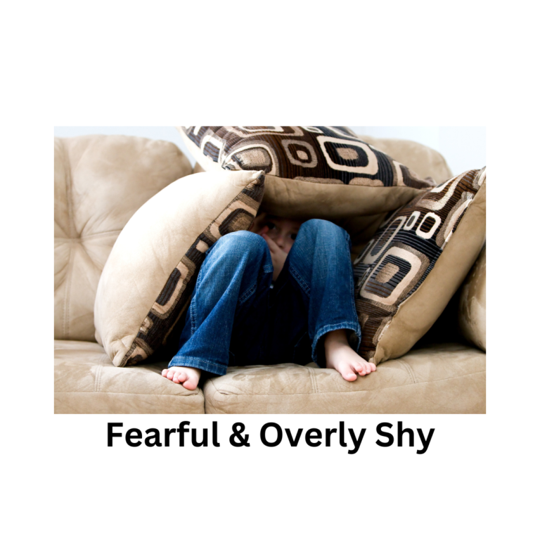 fearful & shy