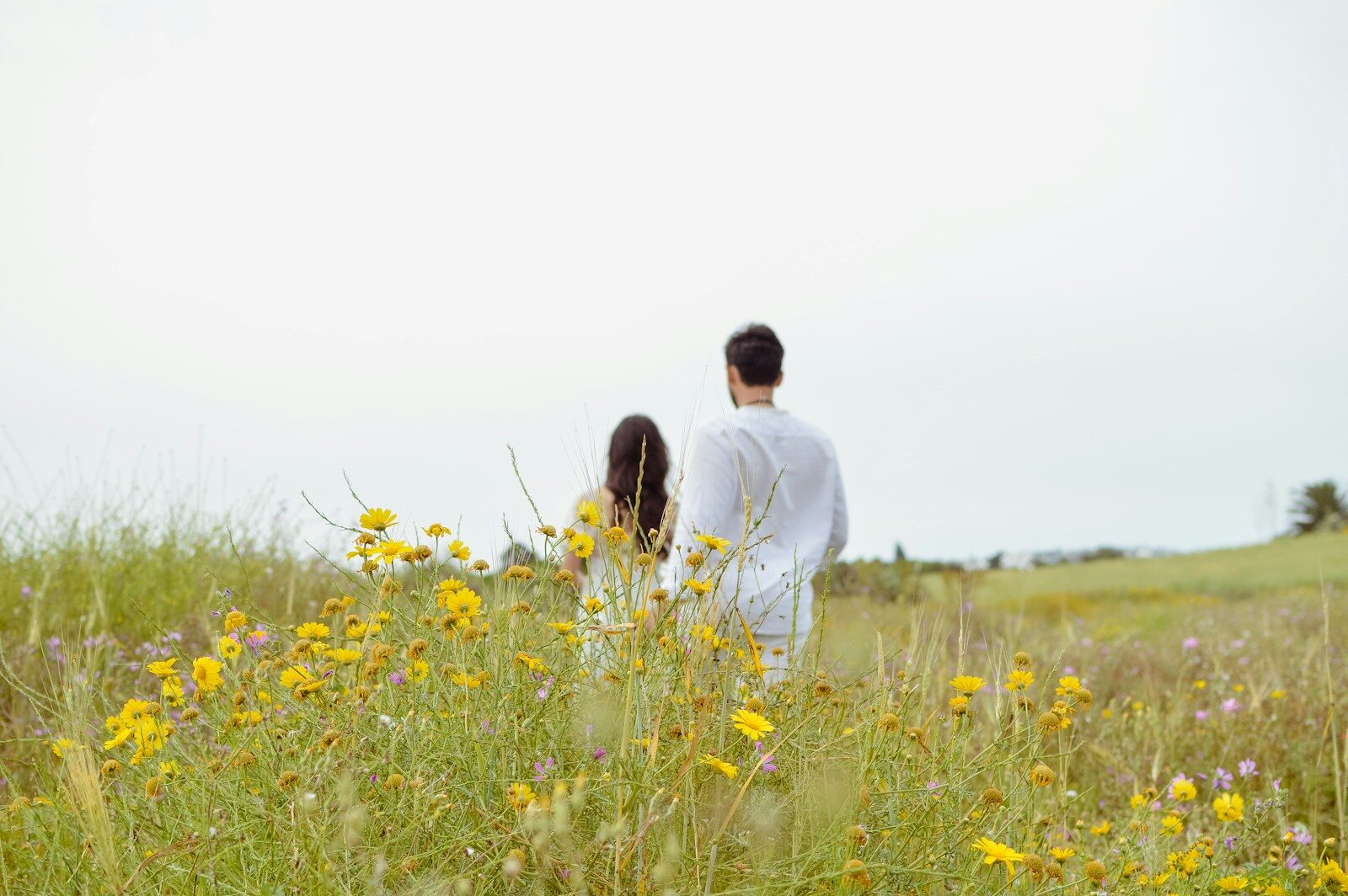 Two people walking through a field of yellow wildflowers